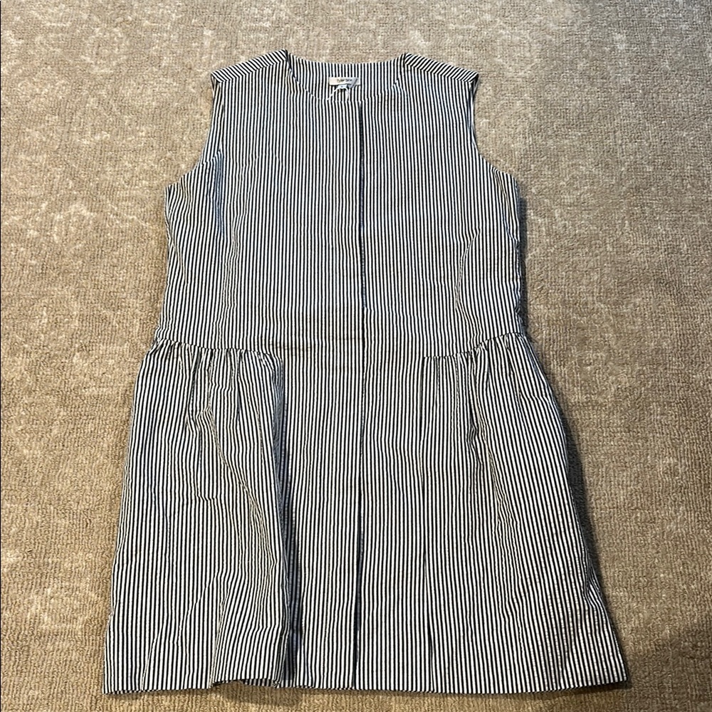Striped Sleeveless Dress- Tyler Boe Small